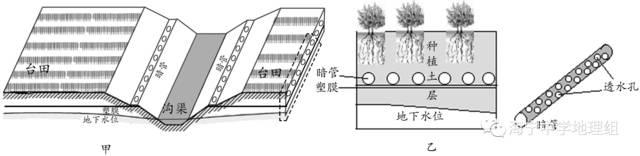 【每日一题(050)台田与盐碱化