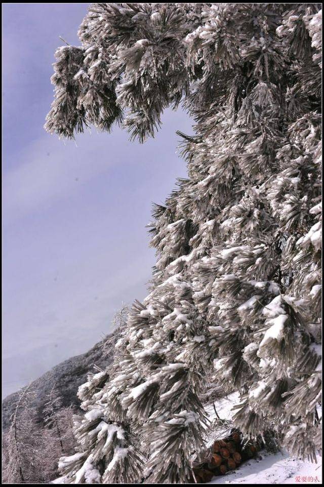 星子山雪景图片