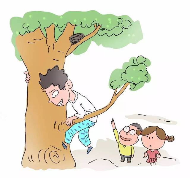 小孩爬树简笔画图片