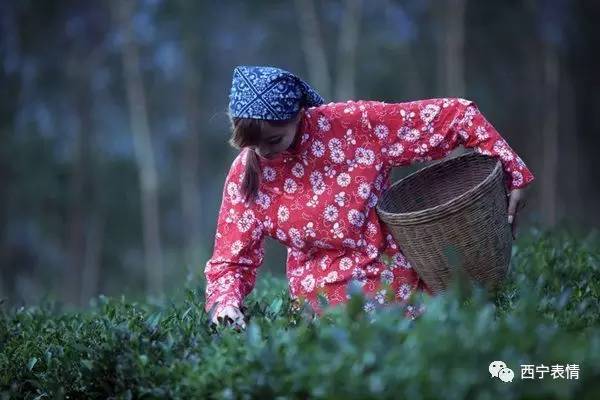 采桑女