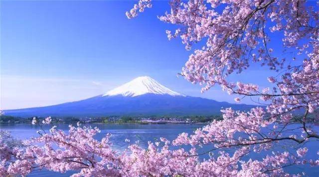 富士山，河口湖畔的一年四季让你重识圣山之美_手机搜狐网
