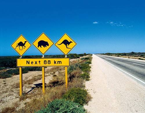 澳大利亚考驾照太难,国际驾照换澳洲驾照成捷