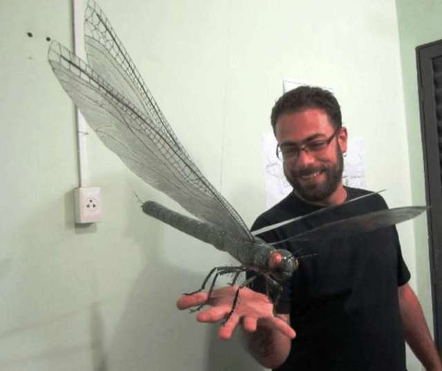 世界上现存的最大蜻蜓图片