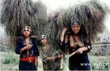 阿卡族妇女 云南图片
