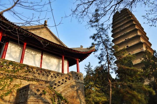 陕西名寺古刹:荐福寺-著名的唐代皇家寺院_手机搜狐网