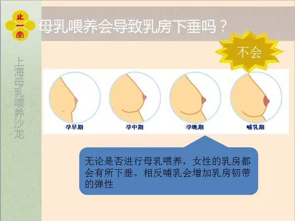 放棄母乳能防止乳房下垂嗎?