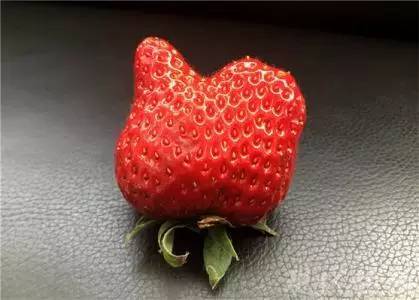 奇形怪状的草莓图片