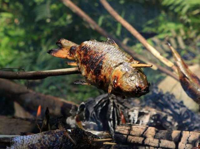 你沒有見過的烤魚做法, 吃一塊就停不下來