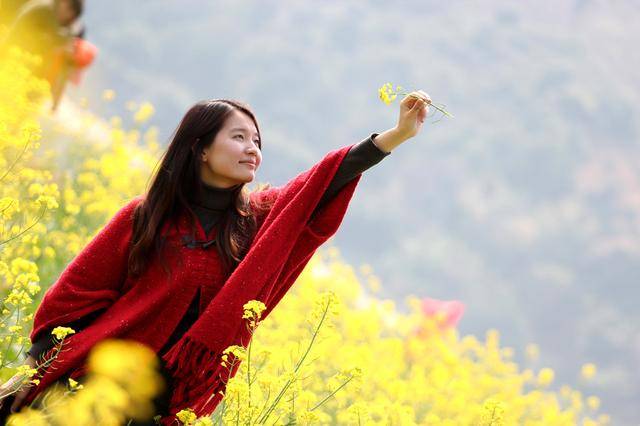 近百位美女油菜花中唯美照片