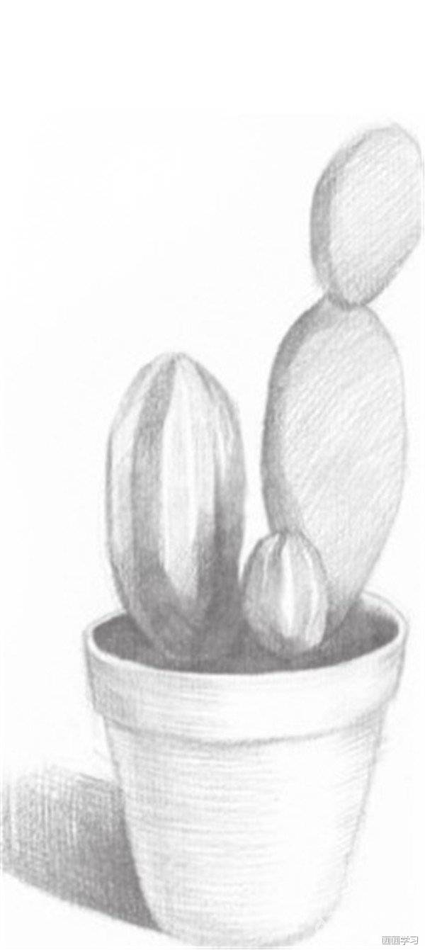 仙人掌素描简单图片