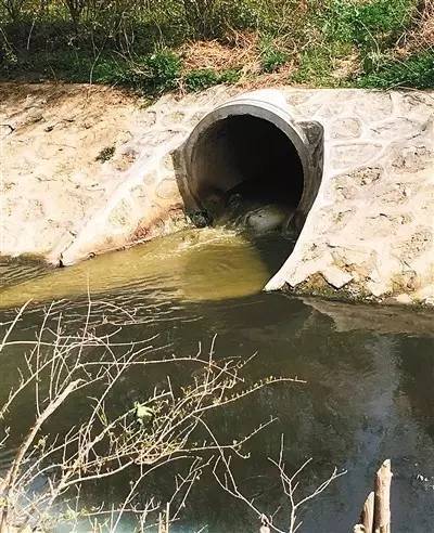 氵皂河图片