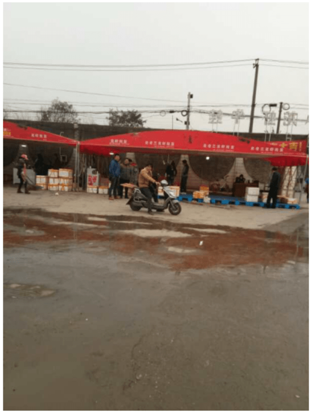 大上海小江阳水产大市场?简直是水产界的一颗
