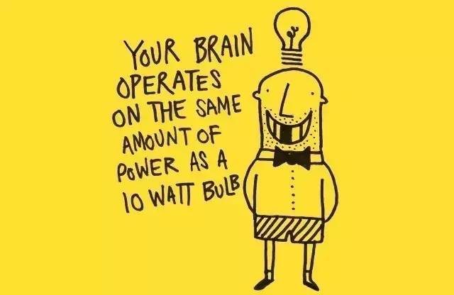 your brain operates on the same amount of power as      watt