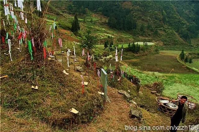 毕节吴家屯坟的照片图片