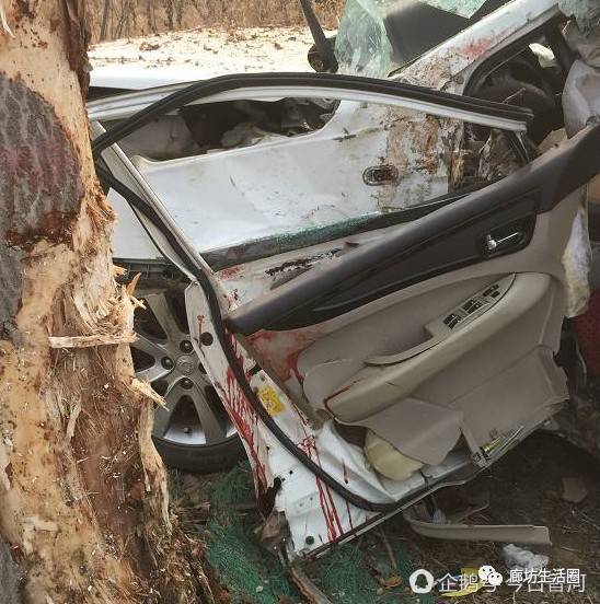 河北廊坊最新车祸图片