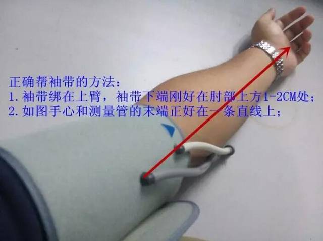 测血压绑带的位置图图片