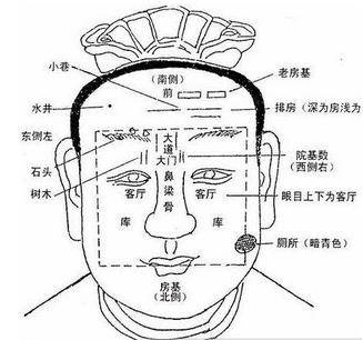 辅角骨面相图解图片