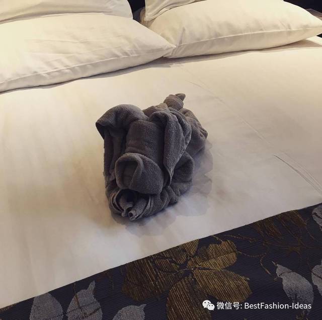 酒店毛巾折叠小狗图片