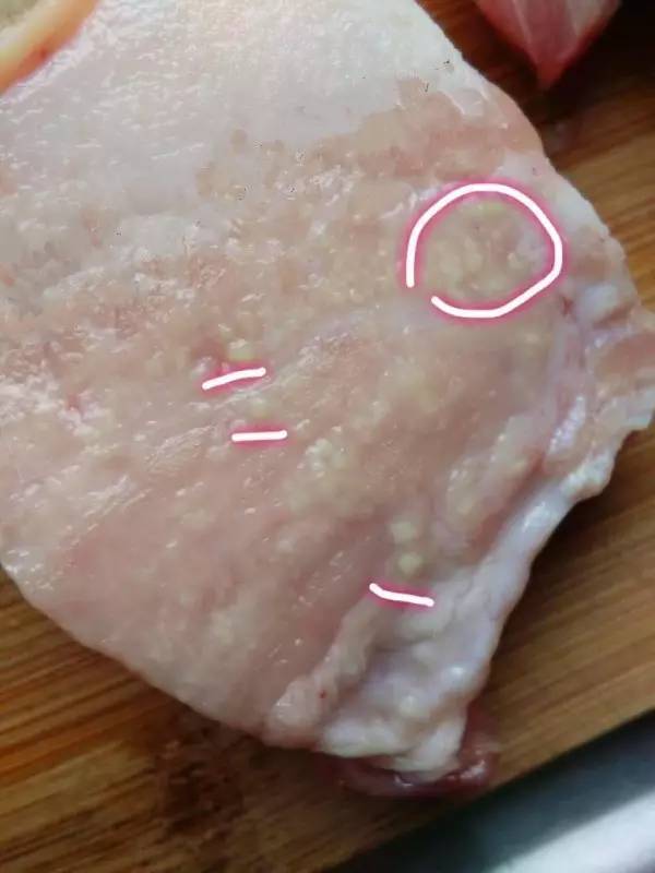 猪肉上的脂肪粒图片图片