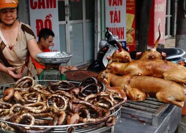 肉狗屠宰场实拍图片