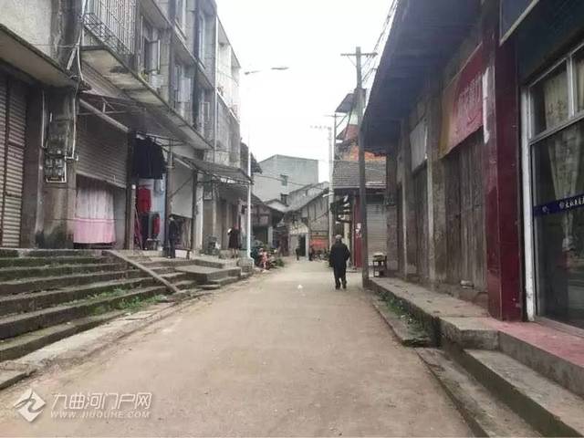 资阳保和镇正在打造万亩森林公园,畅游其中你可能还会迷路.