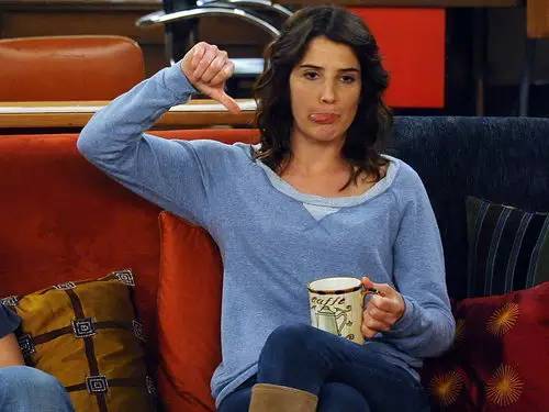 robin scherbatsky《老爸老妈的浪漫史(how i met your mother)