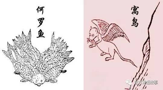 《山海經》異獸奇鳥之——何羅魚,孟槐,鰼鰼魚,寓鳥