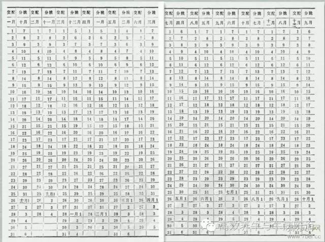 母牛预产期表 最准确图片