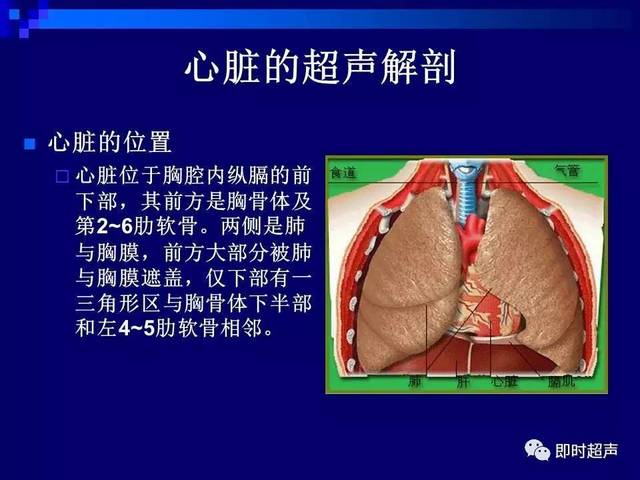 心浊音界图片图片