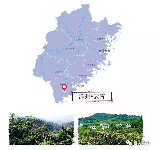 云霄县地形图图片