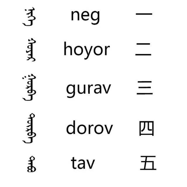 1分钟学蒙古语数字15用蒙古语怎么读