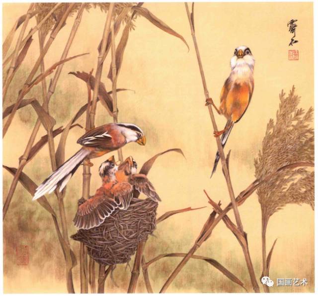 中国画】中国画创作参考图谱·花鸟百图_手机搜狐网