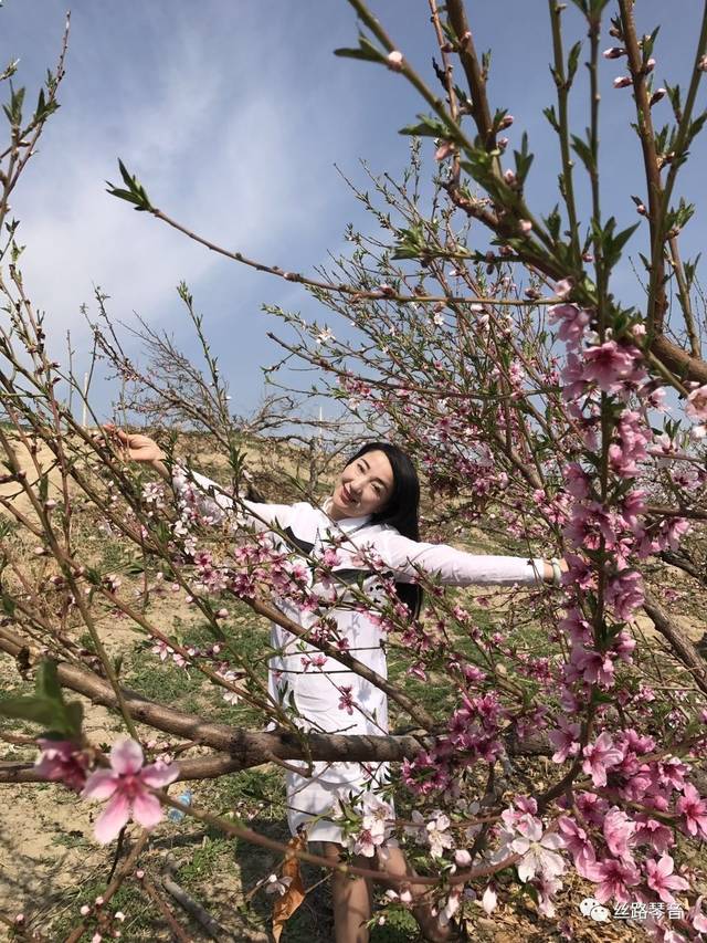 少年不解花意味 归来霞霭惜桃芬.