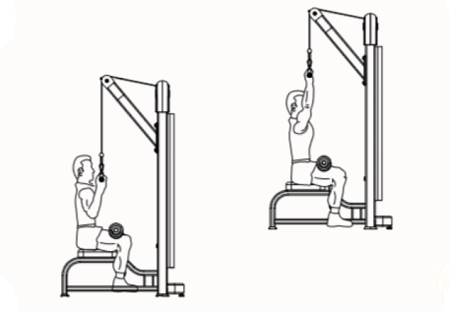 反飞鸟训练器主要锻炼肌肉群 5,高拉背训练器 核心动作:高位下拉