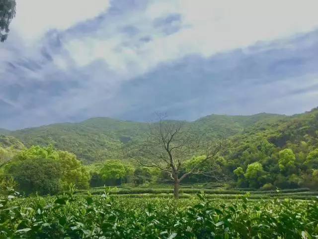 泗洲头白仙山水库图片