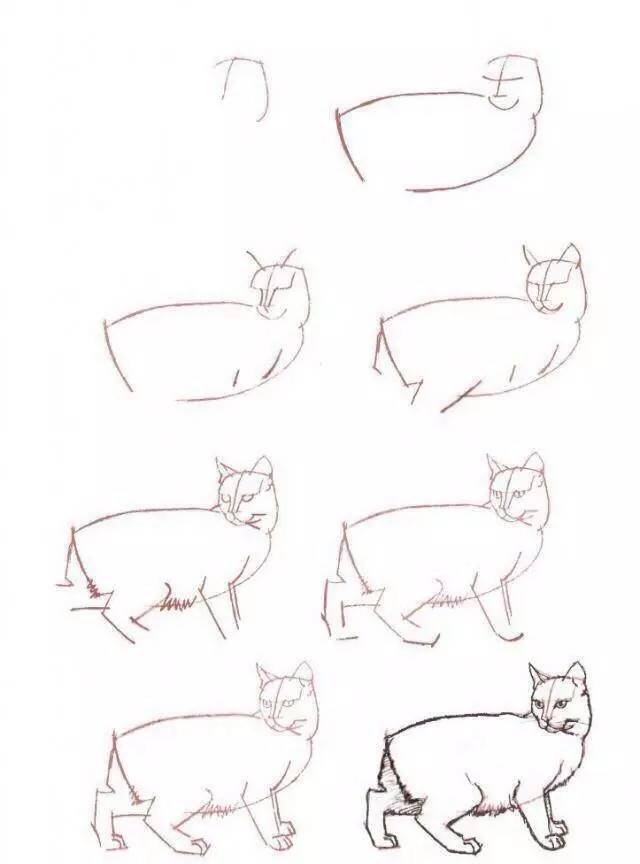 简笔画教你画个中姿态的猫