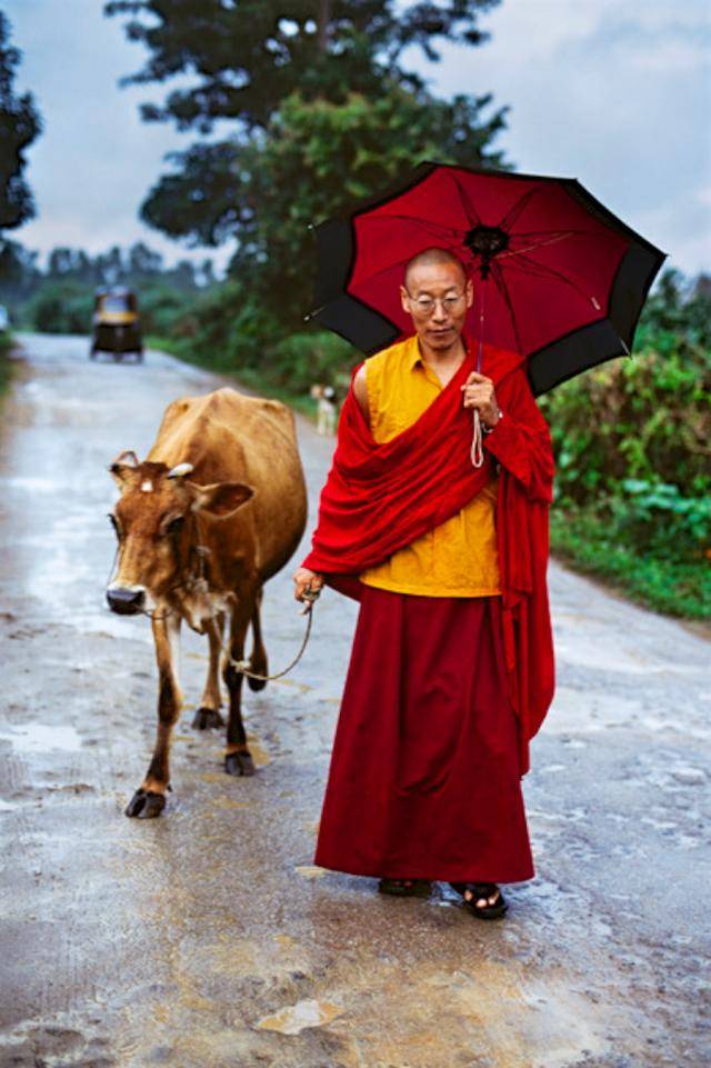 外出的喇嘛;西藏,2000年【摄影:steve mccurry】