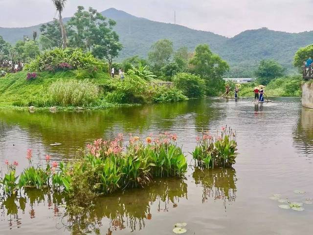 三亞中廖村:攪熱美麗鄉村遊