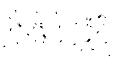 蚊子爬屏幕图片动态图图片