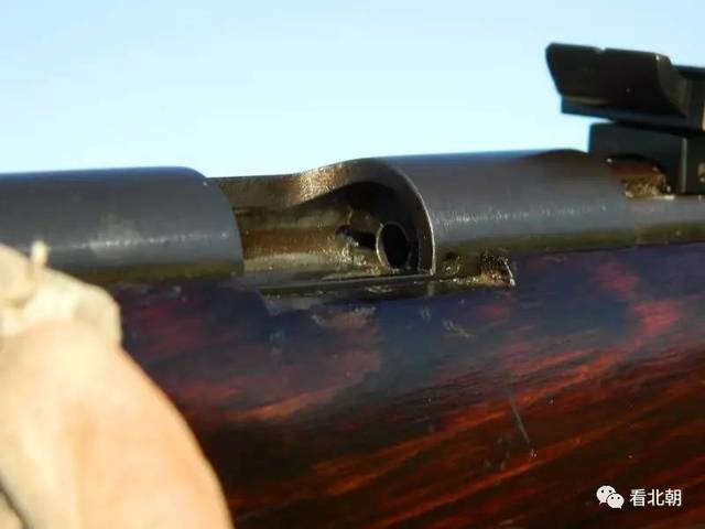 健卫15小口径步枪图片图片
