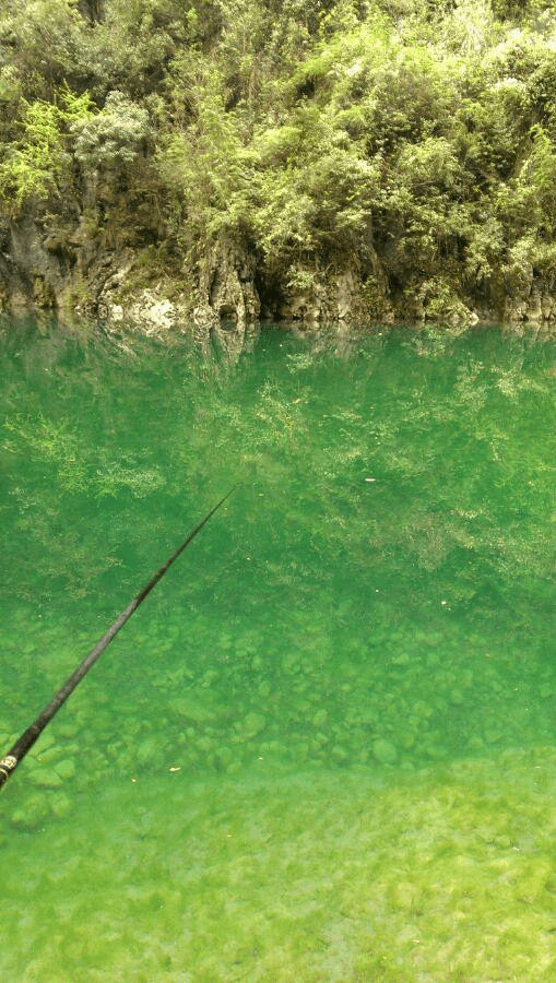 湘西山溪钓小鱼吹弹即破不知其名