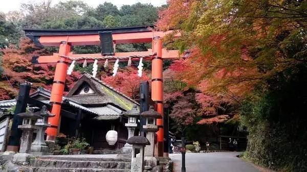 日本神社纸垂怎么折 不知道去神社许愿的正确步骤 我来教你 手机搜狐网 柳州佳和盛自动化设备有限公司