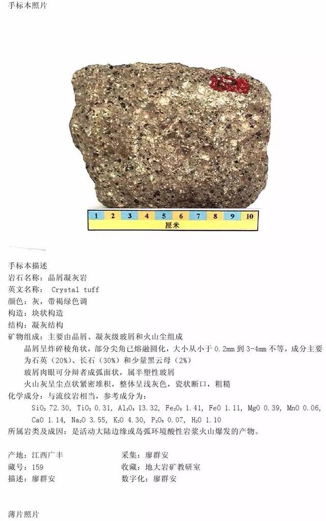 (八)火山碎屑岩(8 张)  晶屑凝灰岩