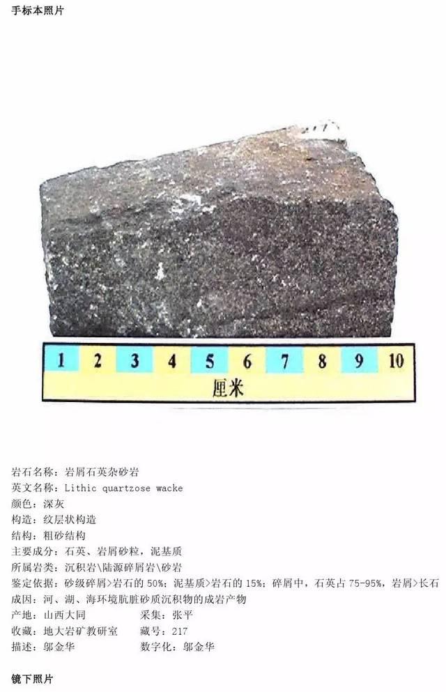 泥质灰岩的岩性描述图片