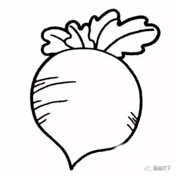 杨花萝卜图片卡通图片