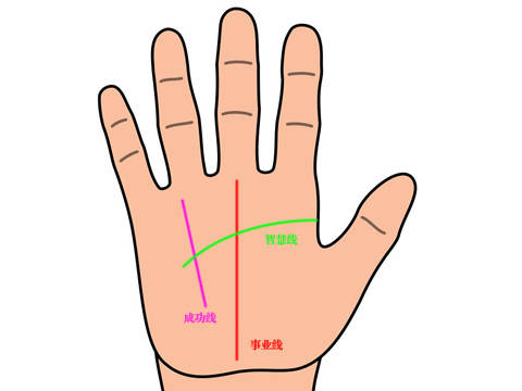 手掌有这几类特征