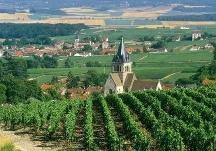 法国酒产业发展之路:葡萄酒与旅游