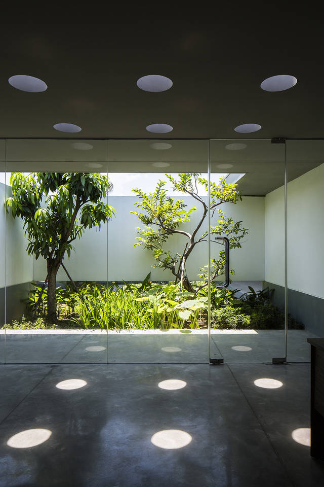 钢筋混凝土里长出来的绿——天井植物景观设计