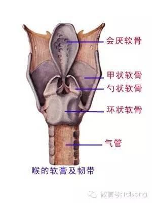 一舟意念发声法_朗诵、演讲等语体简洁、