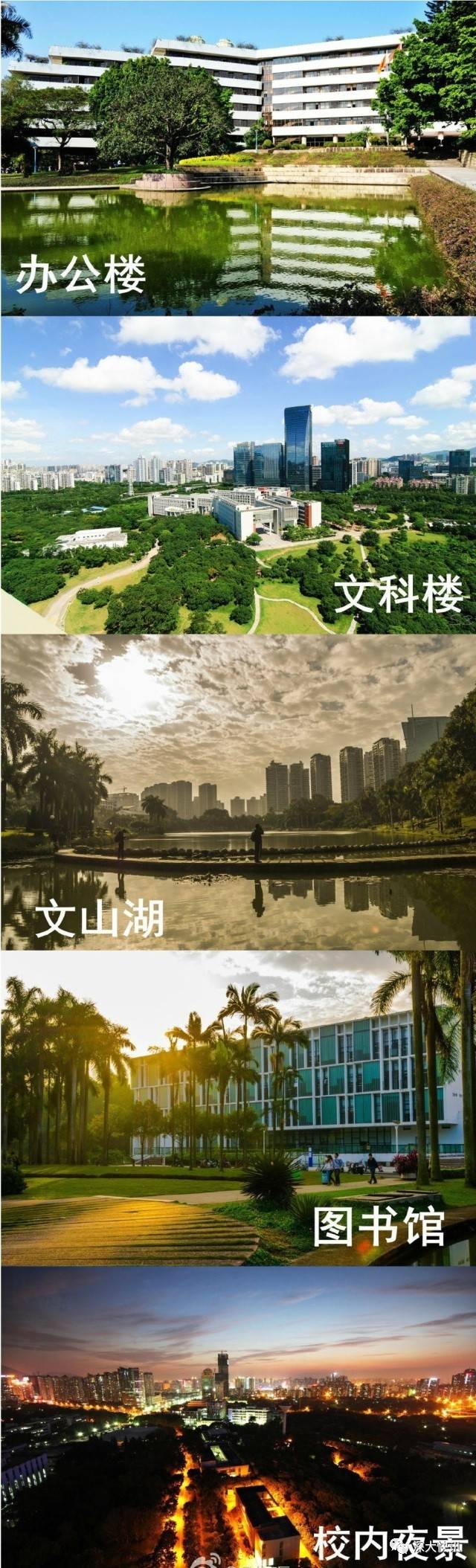 報考深圳大學的十大理由!看完下輩子還想上深大〖深大快訊